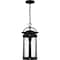 Quoizel Clifton Mini Pendant 1 Light Earth Black CLI1509EK - alternate 6